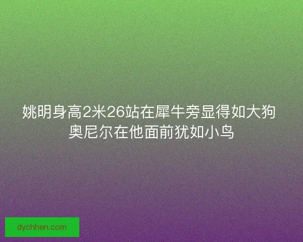 姚明身高2米26站在犀牛旁显得如大狗 奥尼尔在他面前犹如小鸟